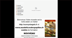Desktop Screenshot of coach-en-restauration-rapide.fr